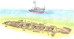 ������ �����, ���� ����������� ���������